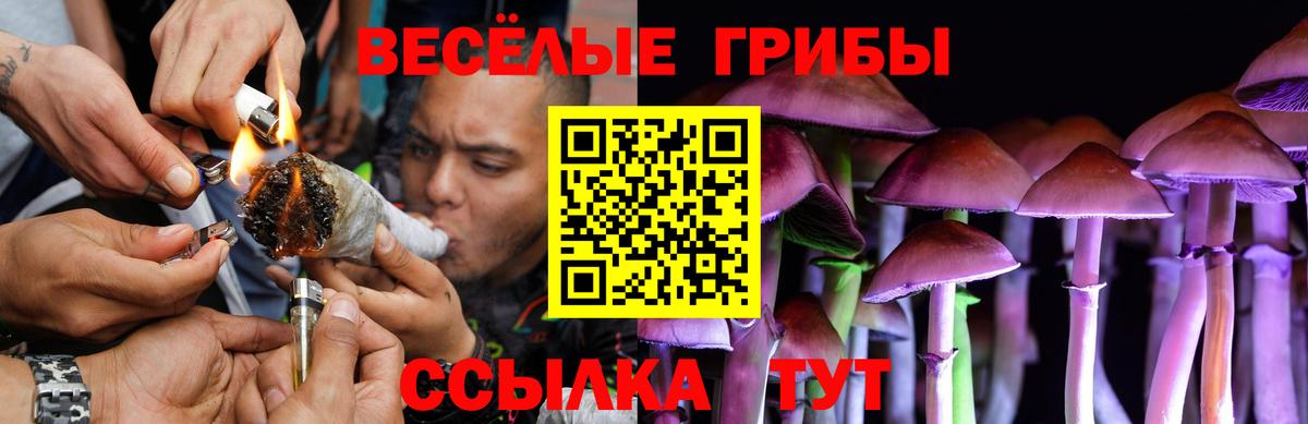 Галлюциногенные грибы мухоморы  Галлюциногенные грибы мицелий  Вход с VPN  Балашов 